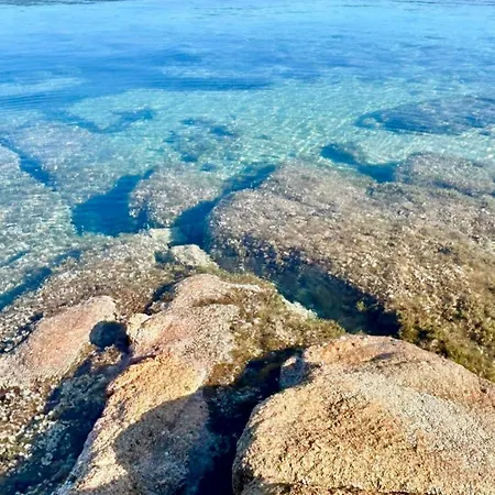 アパート Mon Cocon Entre Mer&maquis