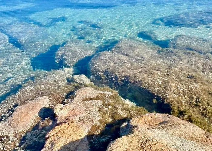 Apartment Mon Cocon Entre Mer&maquis